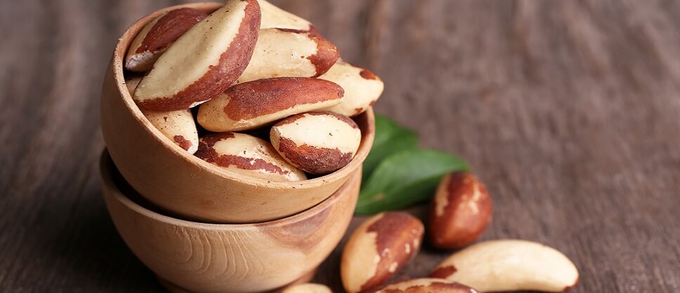 Brazil Nuts Testosterone Manual